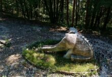 Благоустрояването на парк „Баждар“ в Габрово се очаква да приключи до края на годината, каза ръководителят на дейностите Антон Милчев